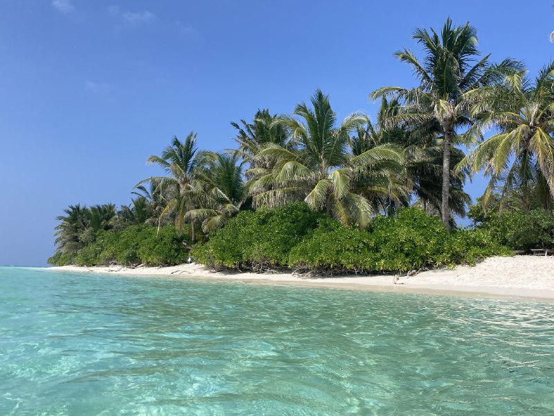 Thoddoo Maldives